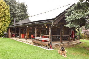 Wooden house in Vysočina